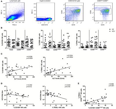 Interferon-α-Enhanced CD100/Plexin-B1/B2 Interactions Promote Natural Killer Cell Functions in Patients with Chronic Hepatitis C Virus Infection